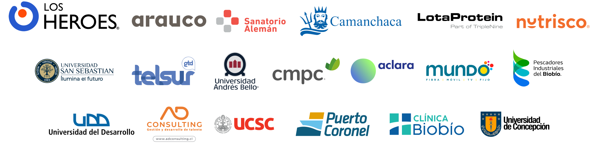 Auspiciadores: Los Héroes, Arauco, Sanatorio Alemán, Camanchaca, LotaProtein, Nutrisco, Universidad San Sebastián, Telsur, Universidad Andrés Bello, CMPC, Aclara, Mundo, Pescadores Industriales del Biobío, Universidad del Desarrollo, AD Consulting, UCSC, Puerto Coronel, Clínica Biobío, Universidad de Concepción